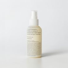 Load image into Gallery viewer, SELF-ABSORBED™ Dry Shampoo + Texture Spray
