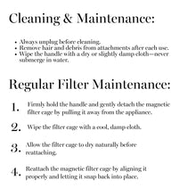 Load image into Gallery viewer, Aria Airstyler Blowout Set - Silver
